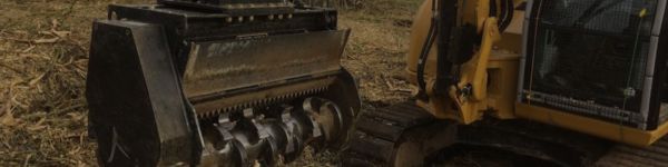 Plant Attachments