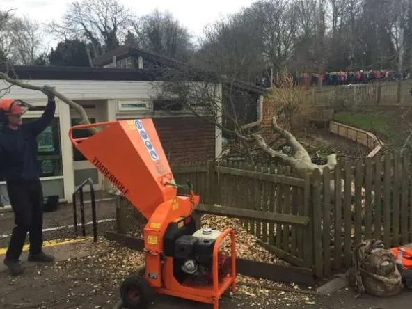 timberwolf_woodchipper_for_hire.webp
