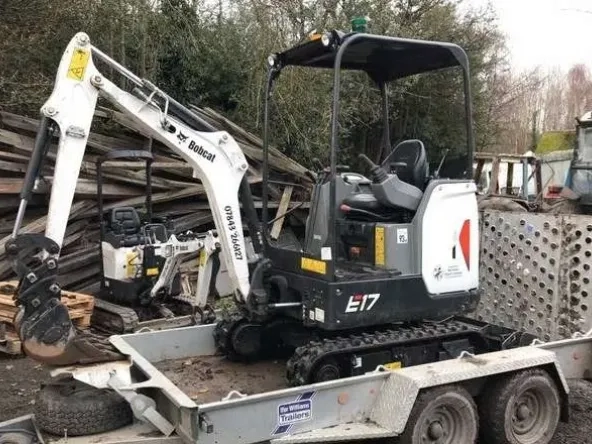 bobcat1.webp